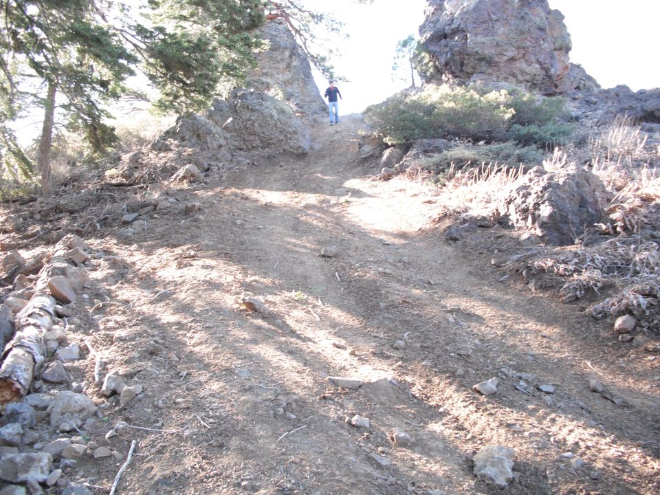 Person walks up a steep, rocky dirt path on a hillside with trees and large rocks