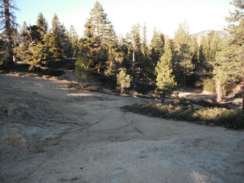 1991 Ford Bronco - Rocky terrain with scattered pine trees on a sunny day.