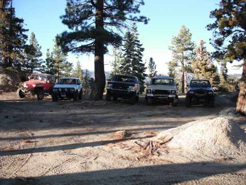 1991 Ford Bronco - Several off-road vehicles are parked in a clearing surrounded by trees under a clear blue sky.