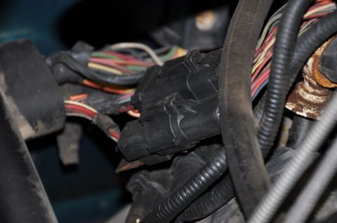 1996 Ford Bronco - Close-up view of an engine's wiring harness, showing connectors and various colored wires.