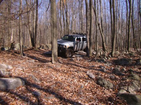 2003 Jeep Wrangler