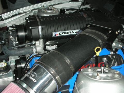 1998 Ford Crown Victoria - Close-up of a modified engine a prominent supercharger and intake system.