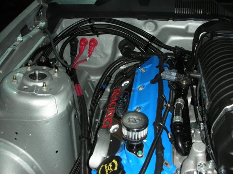 1998 Ford Crown Victoria - Ford engine bay details, including blue racing valve covers and "Ford Racing" branding.