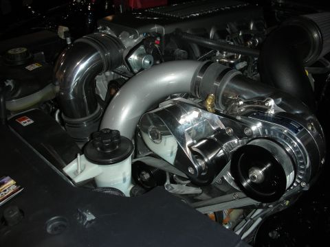 1998 Ford Crown Victoria - Close-up view of a supercharged engine with polished chrome components and intake tubing.