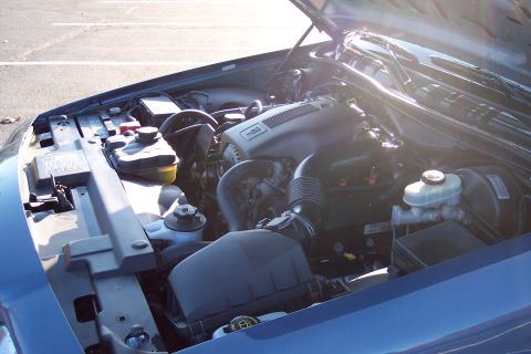 2001 Ford Crown Victoria - Engine bay of a 2001 Ford Crown Victoria, detailing the V8 engine and associated parts.