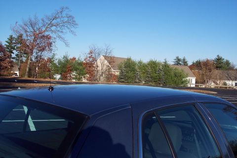 2001 Ford Crown Victoria - The top of a dark blue sedan is visible, with trees and buildings in the background under a clear sky.