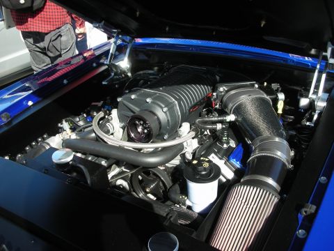 1998 Ford Crown Victoria - Close-up of a custom supercharged engine bay with prominent aftermarket parts.