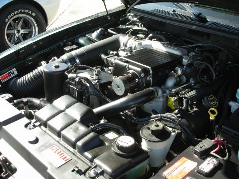 1998 Ford Crown Victoria - The engine bay of a 1998 Ford Crown Victoria shows a supercharger and custom air intake system.