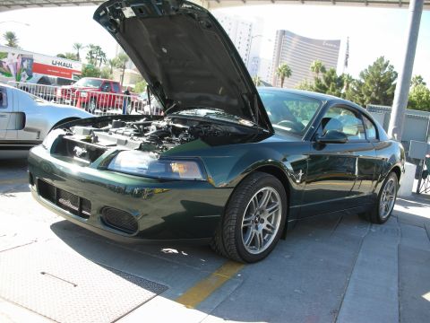1998 Ford Crown Victoria - A dark green 2000 Ford Mustang coupe is parked with its hood open, revealing the engine compartment.