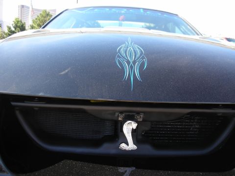 1998 Ford Crown Victoria - A close-up view of a car's front grille and hood, adorned with custom decals and an emblem.