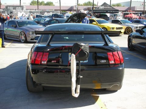 1998 Ford Crown Victoria - Black 2001 Ford Mustang SVT Cobra parked at an outdoor event with other vehicles visible.