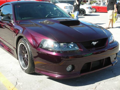 1998 Ford Crown Victoria - A dark red Ford Mustang is parked outdoors, with other vehicles visible in the background.