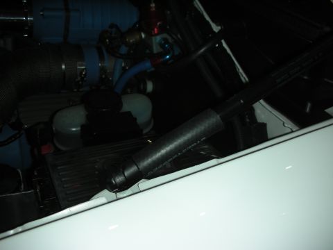 1998 Ford Crown Victoria - A view of various engine components and a gas strut in a car's engine bay.