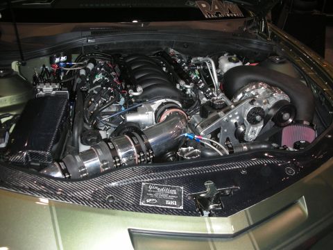 1998 Ford Crown Victoria - Customized engine bay a supercharger and carbon fiber components.