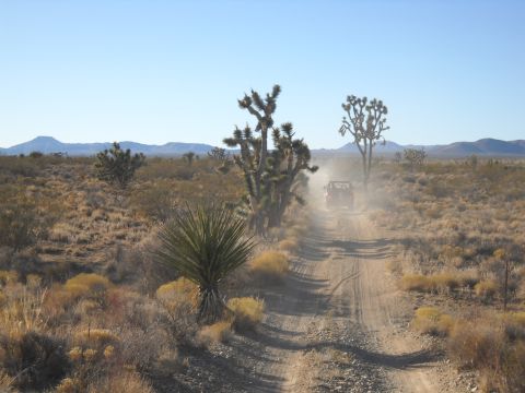1986 Ford Bronco II - An off-road vehicle travels down a dusty desert road, surrounded by Joshua trees and arid terrain.
