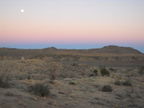 1986 Ford Bronco II - A desert scene at dusk with the moon in the sky.