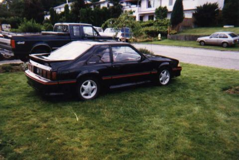 1988 Ford Bronco - Black coupe with red trim and a rear spoiler is parked on a lawn next to a pickup truck.