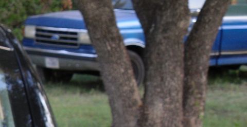 1990 Ford F-150 “lacy”