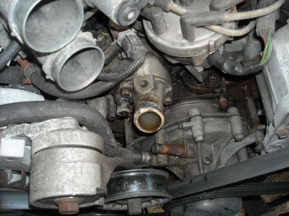 Engine bay close-up of water pump, thermostat housing and accessory pulleys