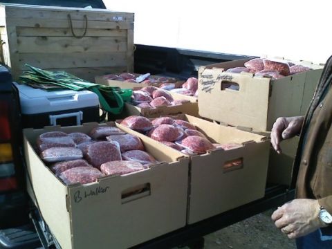 1984 Ford Bronco - Cardboard boxes filled with bagged meat are loaded into the bed of a pickup truck.