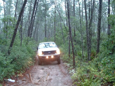 1995 Ford Bronco - White Ford truck navigates a wooded dirt path, possibly during rain.