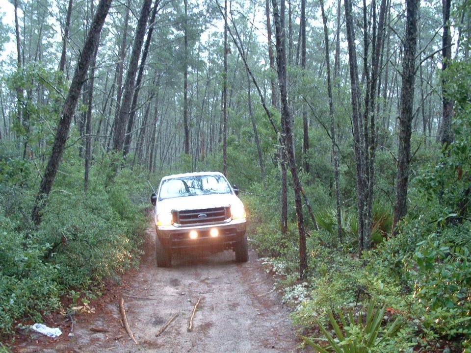 White Ford truck on dirt road in forest, headlights on