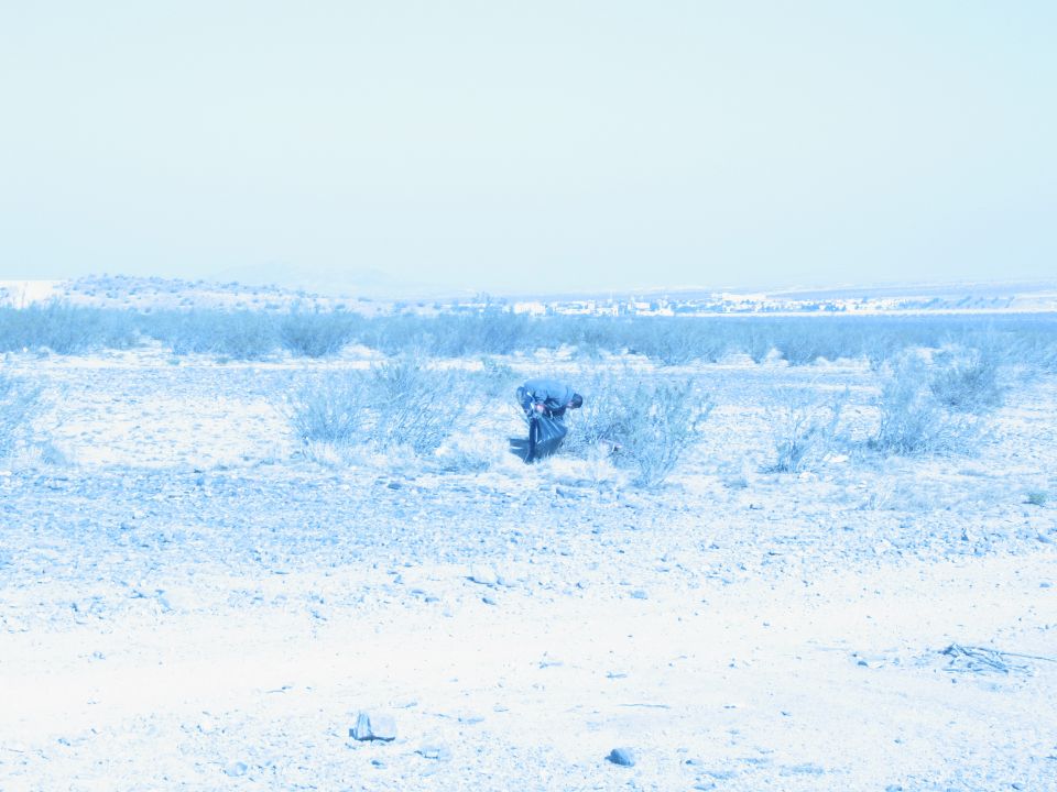 Dark vehicle partially obscured by desert brush