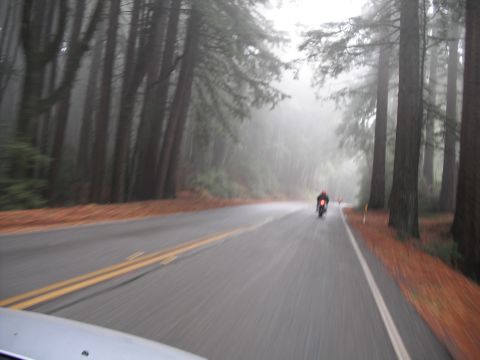 1991 Ford Bronco - A motorcycle rides down a foggy road lined with redwood trees.