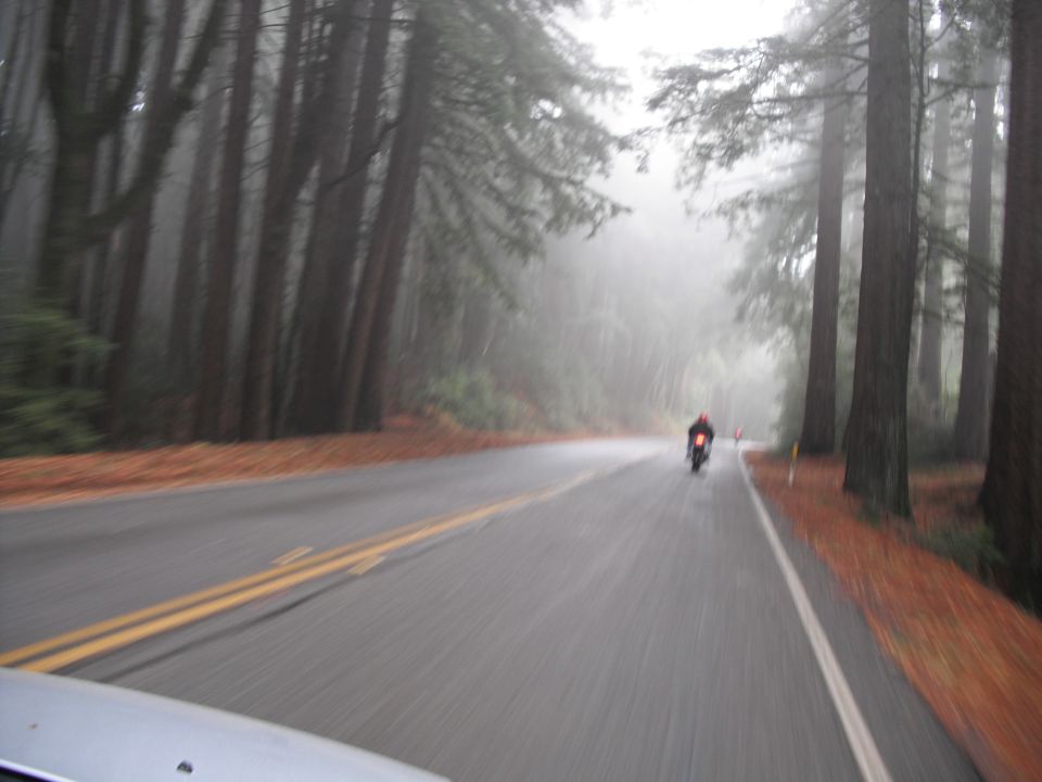 Motorcycle on a wet road through a redwood forest with fog