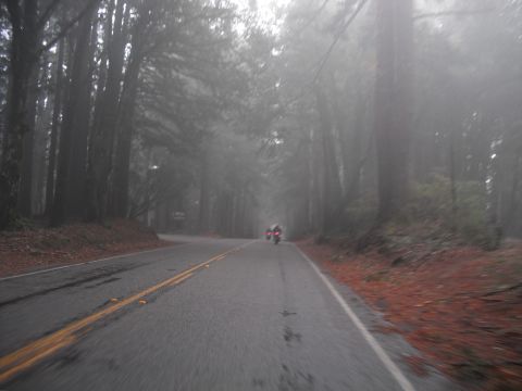 1991 Ford Bronco - Riding motorcycles through a foggy redwood forest on a wet road.