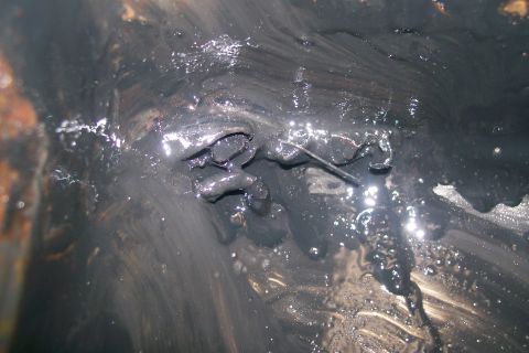 1992 Ford C-350 (Centurion Conversions) - This image shows a close-up view of heavily sludged engine oil, obscuring any specific vehicle details.
