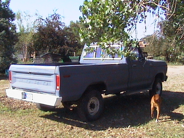 1979 Ford F-250 pickup truck, rear 3/4 view, parked outdoors