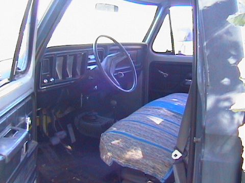 1979 Ford F-250 photo