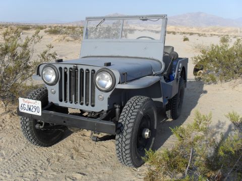 1989 Ford Bronco - Carls Willy
