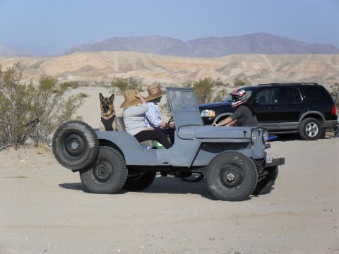 1989 Ford Bronco - Carl's Willy with Lobo (the dog) in the back