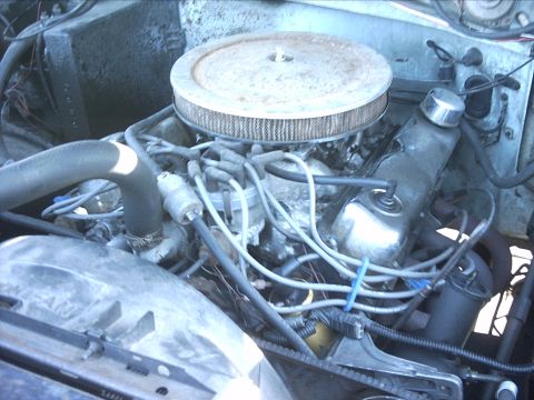 1954 Ford F-100 - Here's the 351W. It's not real pretty but it runs great. I'm going to clean it up good and detail it out before it goes in the 54. I'm also…