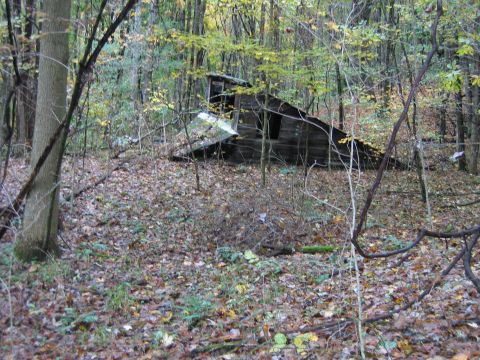 1992 Ford Bronco - A decaying wooden structure sits abandoned in a wooded area, with the Supermotors.net logo visible in the lower right corner.
