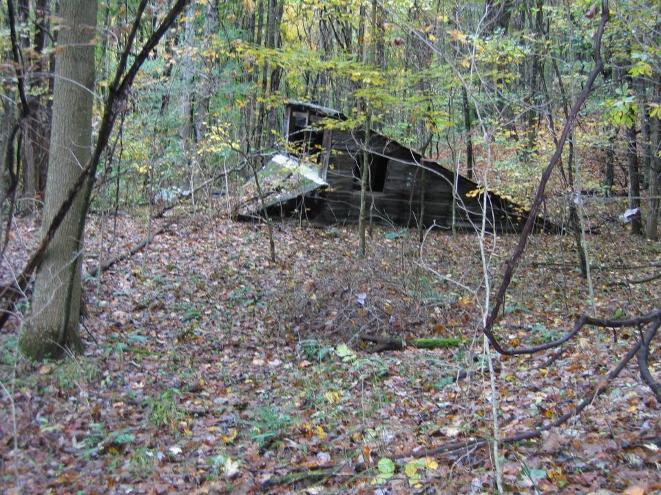 Dilapidated wooden structure in forest, Supermotors.net logo
