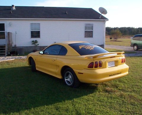 1978 Ford Bronco - This yellow 1998 Mustang coupe is viewed from the rear, a spoiler and a prominent horse decal on the back window.