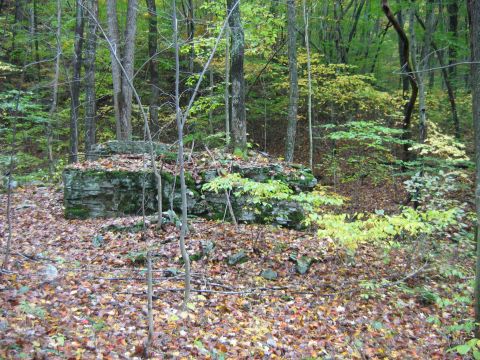 1992 Ford Bronco - A woodland scene with rocks and trees in autumn foliage.