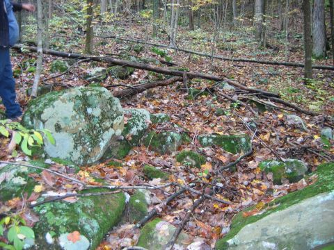 1992 Ford Bronco - A wooded area with large moss-covered rocks and fallen autumn leaves, a SuperMotors logo in the lower right corner.