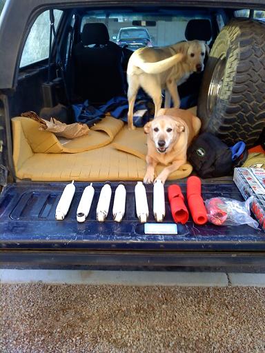 1996 Ford Bronco - Two dogs are in the back of an SUV, with various items laid out on the tailgate.
