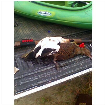 1989 Ford F-150 - A dead duck and shotgun shells are visible in the bed of a truck next to a green kayak.