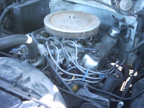 1954 Ford F-100 - 3-07-09: