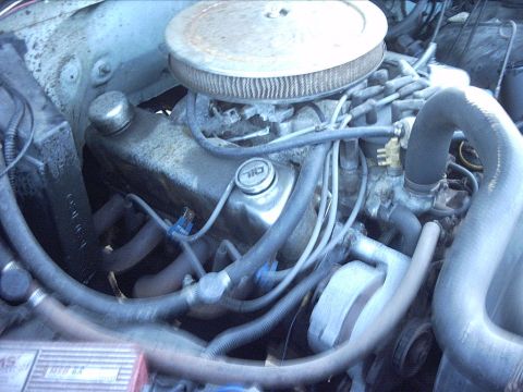1954 Ford F-100 - 3-07-09: