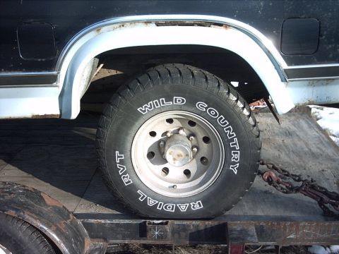 1954 Ford F-100 - 3-07-09: Here's a shot of the driverside rear quarter.