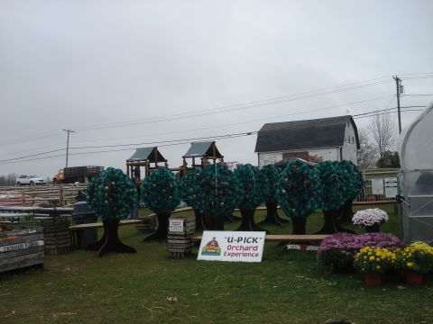 2000 Ford Crown Victoria - A farm stand displays decorative apple trees and a playground, with a barn in the background under an overcast sky.