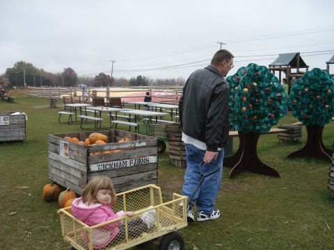 2000 Ford Crown Victoria - A man pulls a wagon with a child in it past a crate of pumpkins at Wickham Farms.