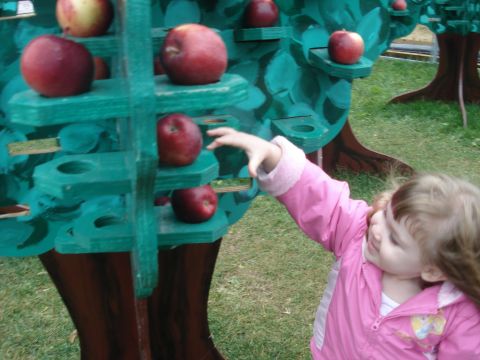 2000 Ford Crown Victoria - A young child reaches for apples on a colorful display tree.