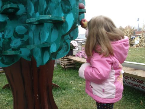 2000 Ford Crown Victoria - A young girl reaches for an apple on a decorative tree at an outdoor fall event.